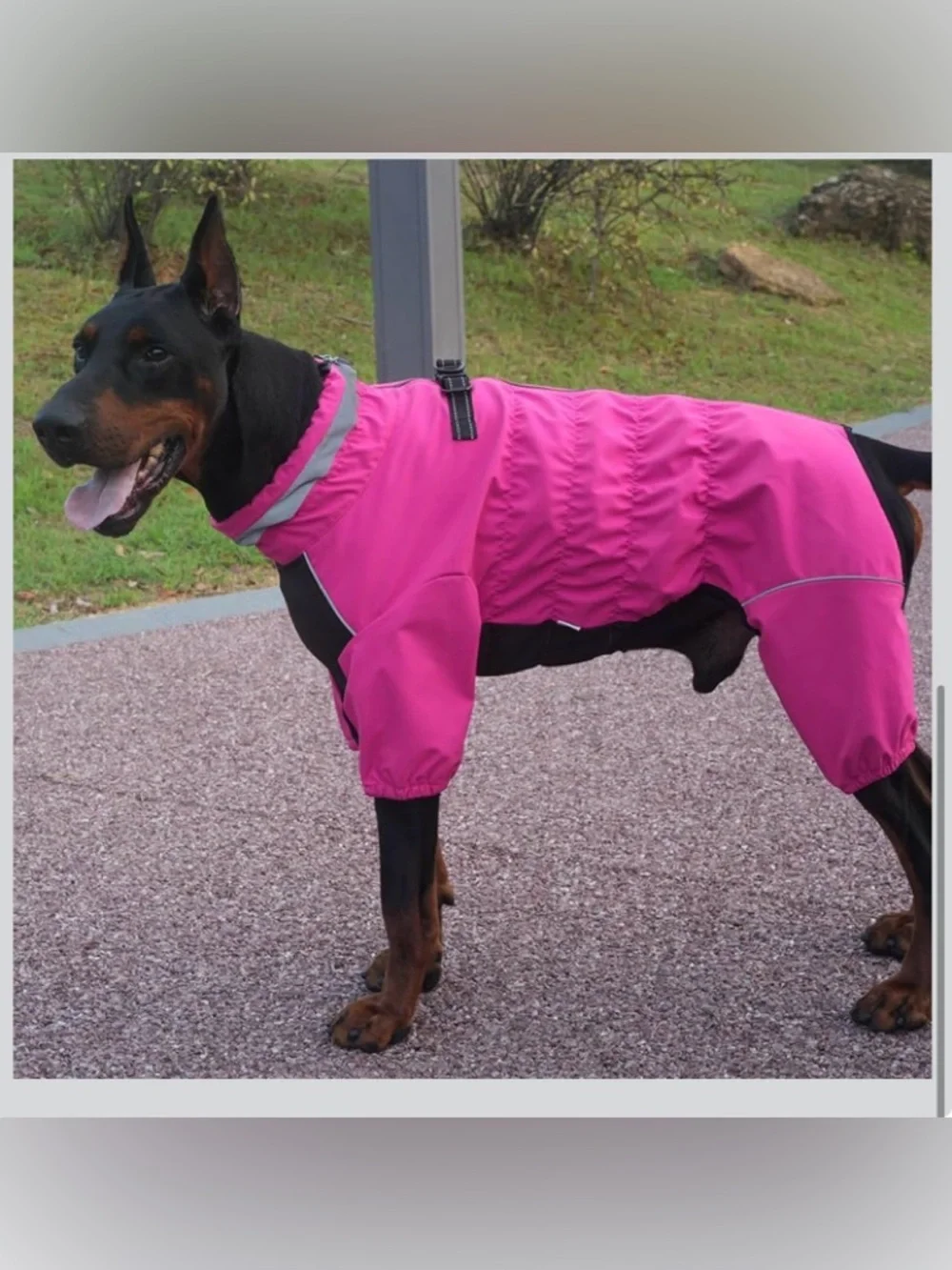 NWT 21.5” Back Full Body Outdoor Jacket with Leash Ring, Fleece Lining
